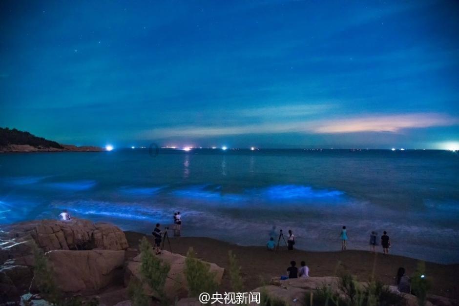 半条命2