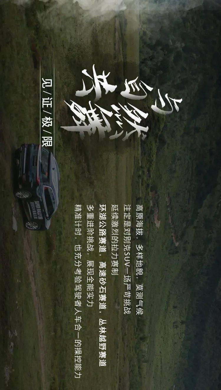 小猫钓鱼正版下载中文版